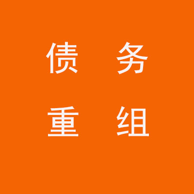 九真镇个人债务重组优化